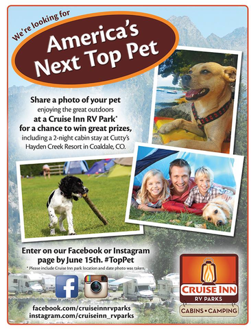 America's Next Top Pet | Mill Creek Ranch Resort