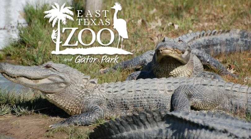 East Texas Zoo and Gator Park