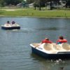 Paddle Boats to Explore Walden Pond Mill Creek Ranch Resort