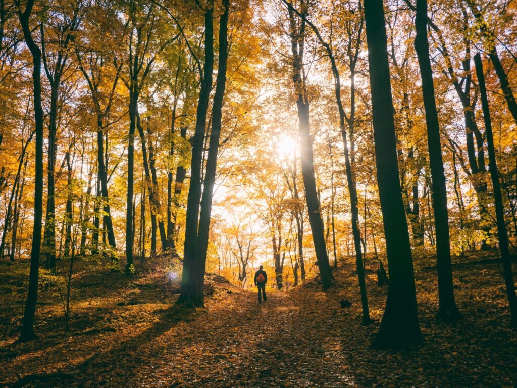 Hiking in East Texas