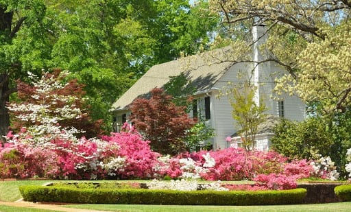 The Rose garden in Tyler, Texas.