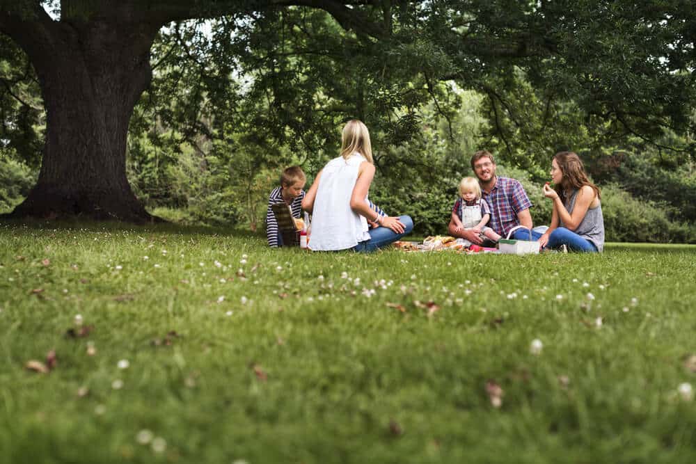 Find Your Ideal Picnic Area in East Texas