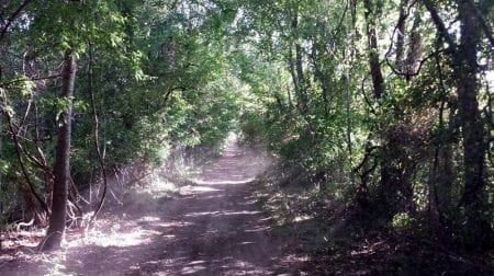 Photo of the Hiking Trail at Mill Creek, One of the Best RV Parks in Texas.