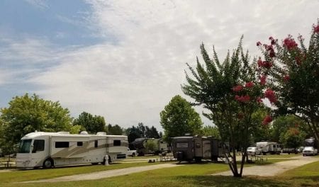 Photo of Mill Creek's RV Park, Just Minutes from the Best East Texas Golf Courses.