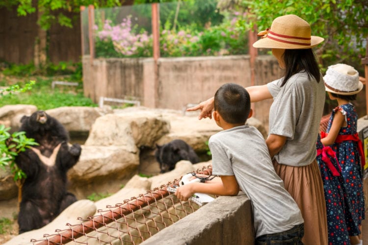 Mother, son and daughter enjoy the bears at a East Texas zoo.